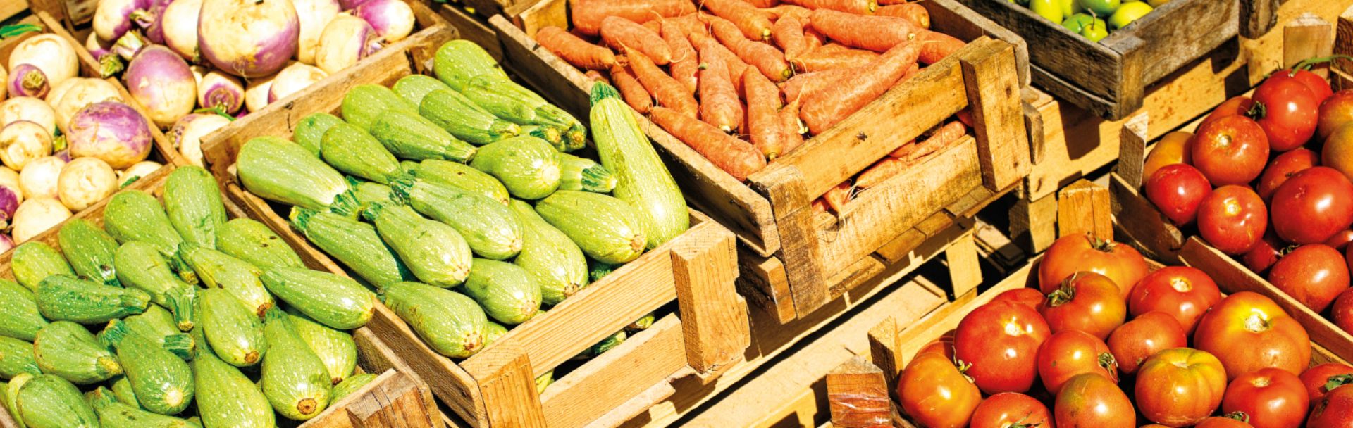 Landgard Nord Obst & Gemüse